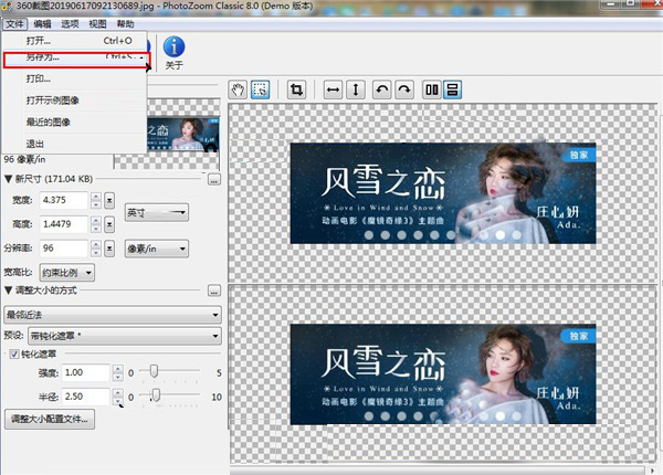 PhotoZoom Pro 8官方版