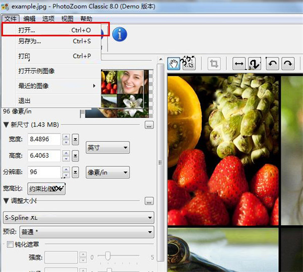 PhotoZoom Pro 8官方版