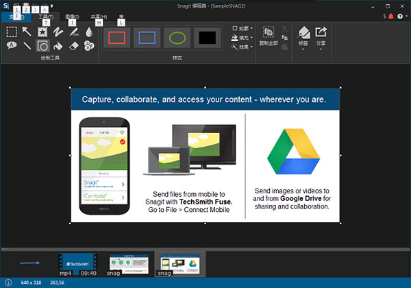 snagit 12(截图工具)