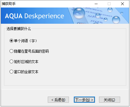 Aqua Deskperience屏幕抓字软件