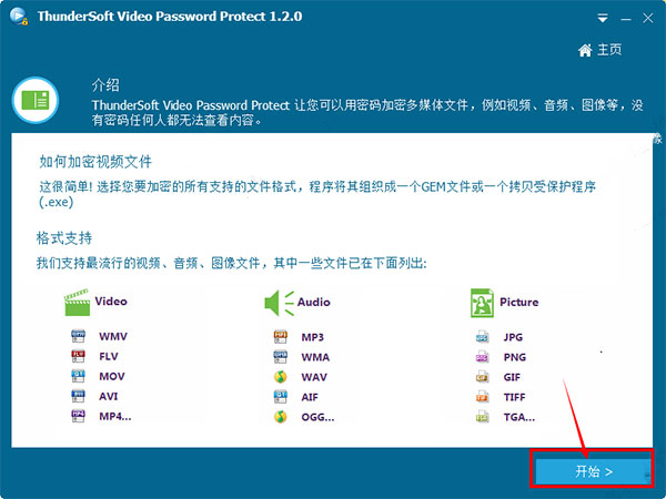 ThunderSoft Video Password Protect(视频加密软件)