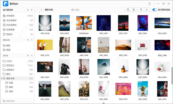 billfish素材管理工具
