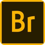 adobe bridge 2019中文版