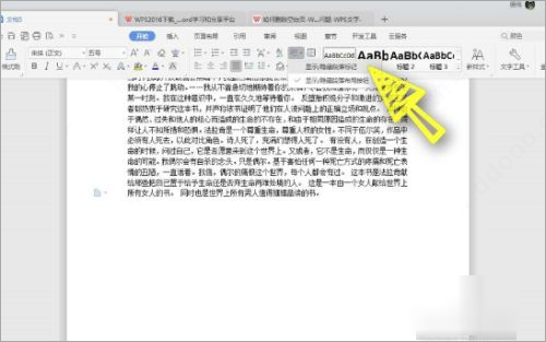 WPS Office 2019专业版