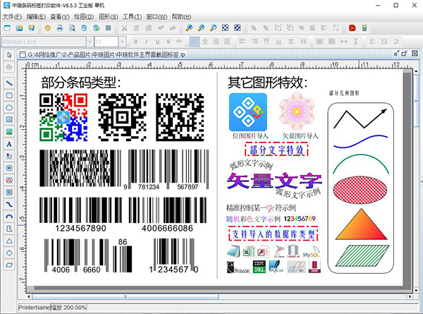 LabelPainter(中琅条码标签打印软件)