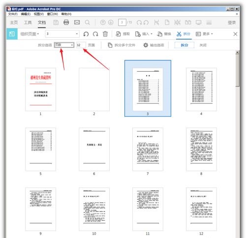 Adobe Acrobat Pro DC 2022中文版