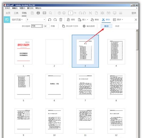 Adobe Acrobat Pro DC 2022中文版