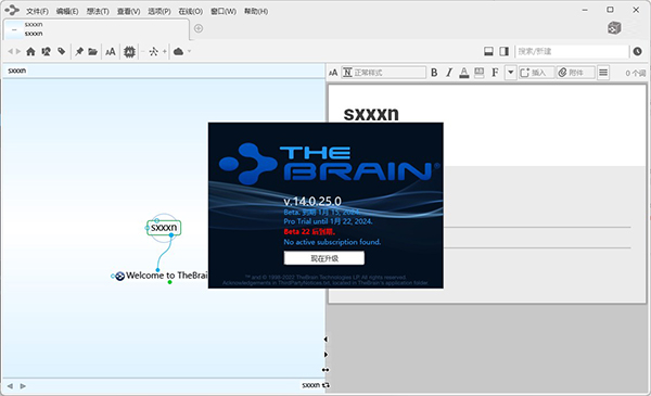 TheBrain官方版