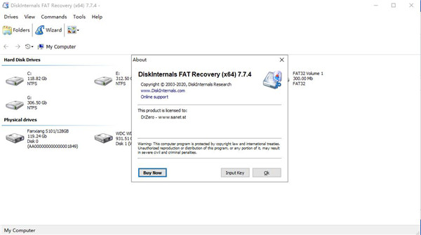 DiskInternals FAT Recovery
