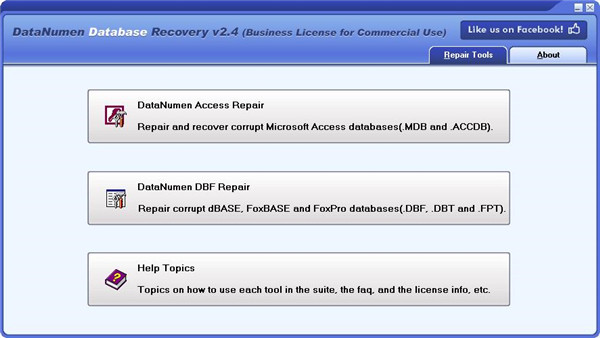 DataNumen Database Recovery(数据库恢复工具)