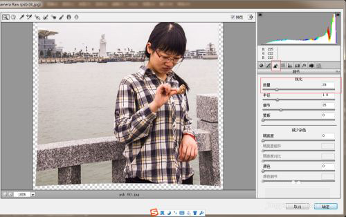 Adobe Camera Raw14.5中文版