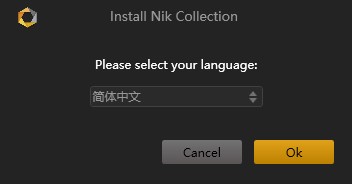 nik collection中文版(ps滤镜插件)