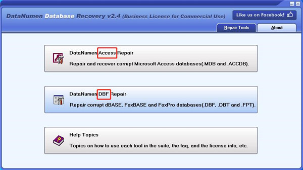 DataNumen Database Recovery(数据库恢复工具)