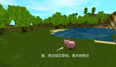 迷你世界九游版本
