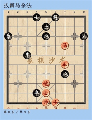 天天象棋2024年最新版