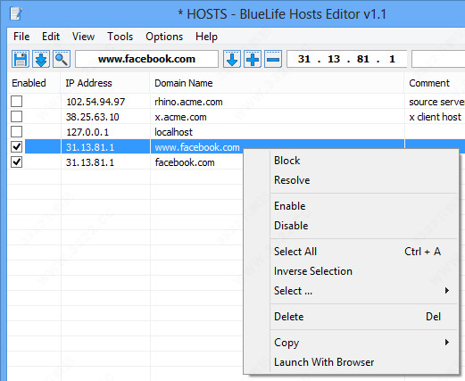 BlueLife Hosts Editor(host文件编辑工具)