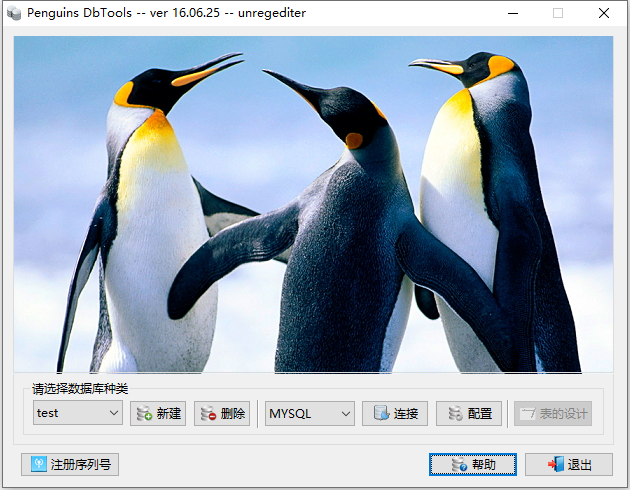 penguins dbtools(数据库转换软件客户端)