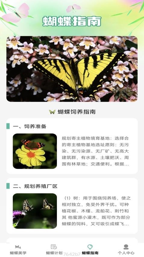 蝴蝶乐刷纯净版