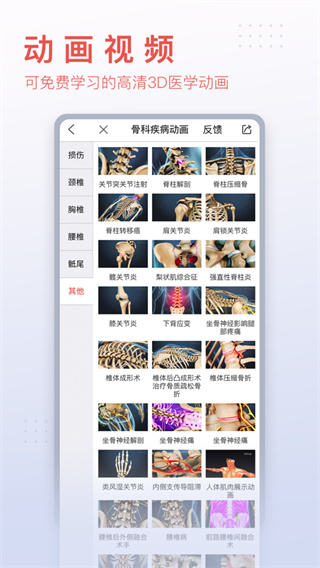 3dbody解剖图手机版