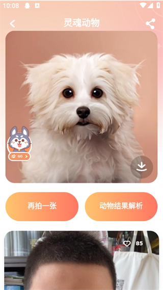 灵魂宠物app