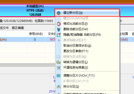 diskgenius pe版