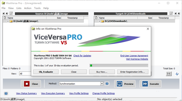 viceversa pro(电脑同步备份工具)